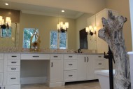 Montverde, Transitional Master Bath 01     